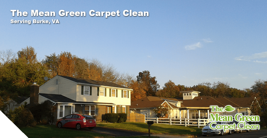 The Mean Green Carpet Clean serving Peabody MA