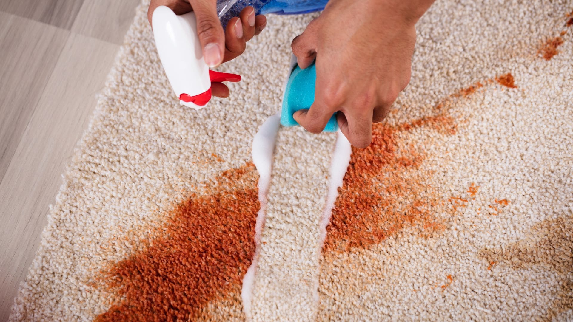 The Mean Green Carpet Clean serving Peabody MA