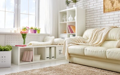 The Mean Green Guide to Premium Carpet Care: Keep Your Northern Virginia Home Clean, Healthy, and Beautiful