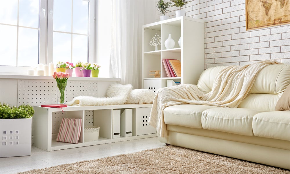 The Mean Green Guide to Premium Carpet Care: Keep Your Northern Virginia Home Clean, Healthy, and Beautiful