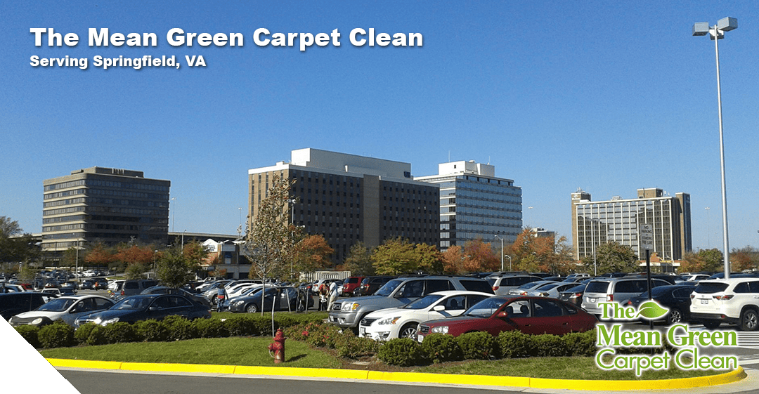 The Mean Green Carpet Clean serving Peabody MA