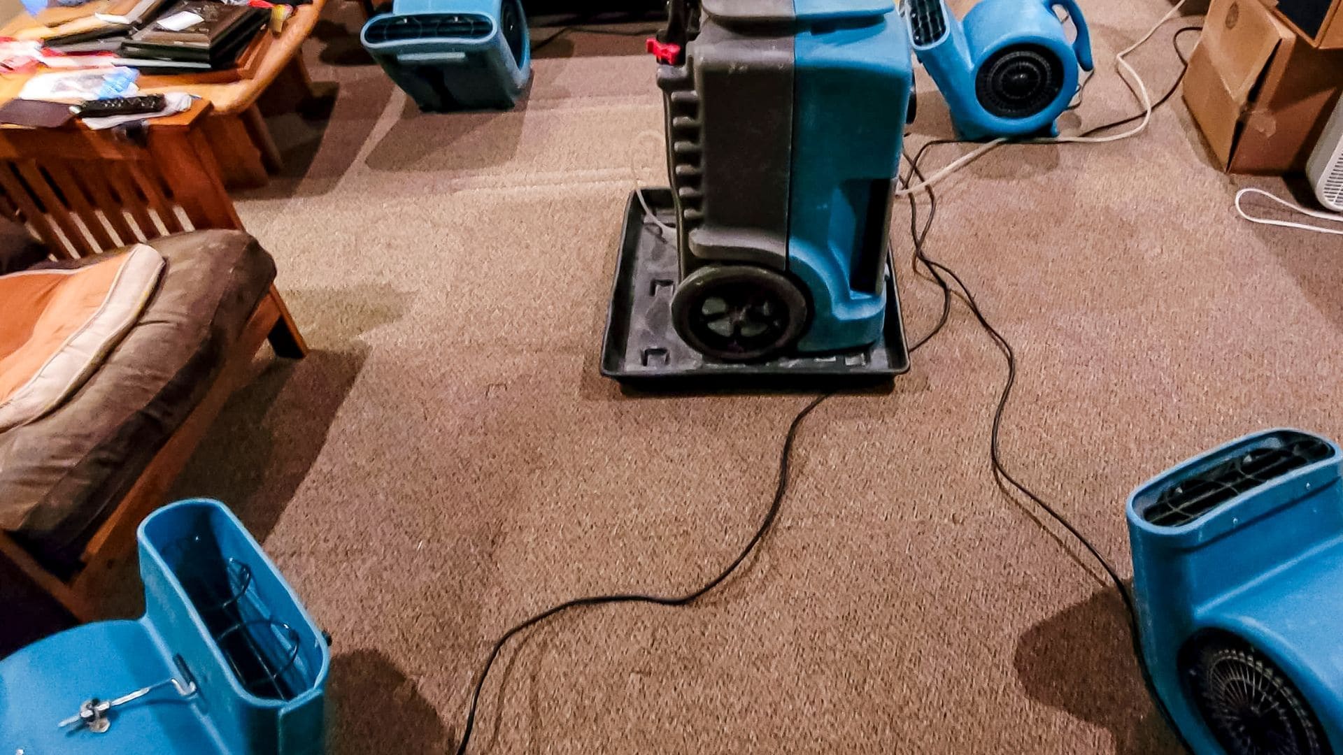The Mean Green Carpet Clean serving Peabody MA