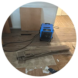 water-restoration-circle Area rug Cleaning Service Icon