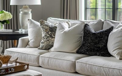 Premium Upholstery Cleaning in Alexandria, VA