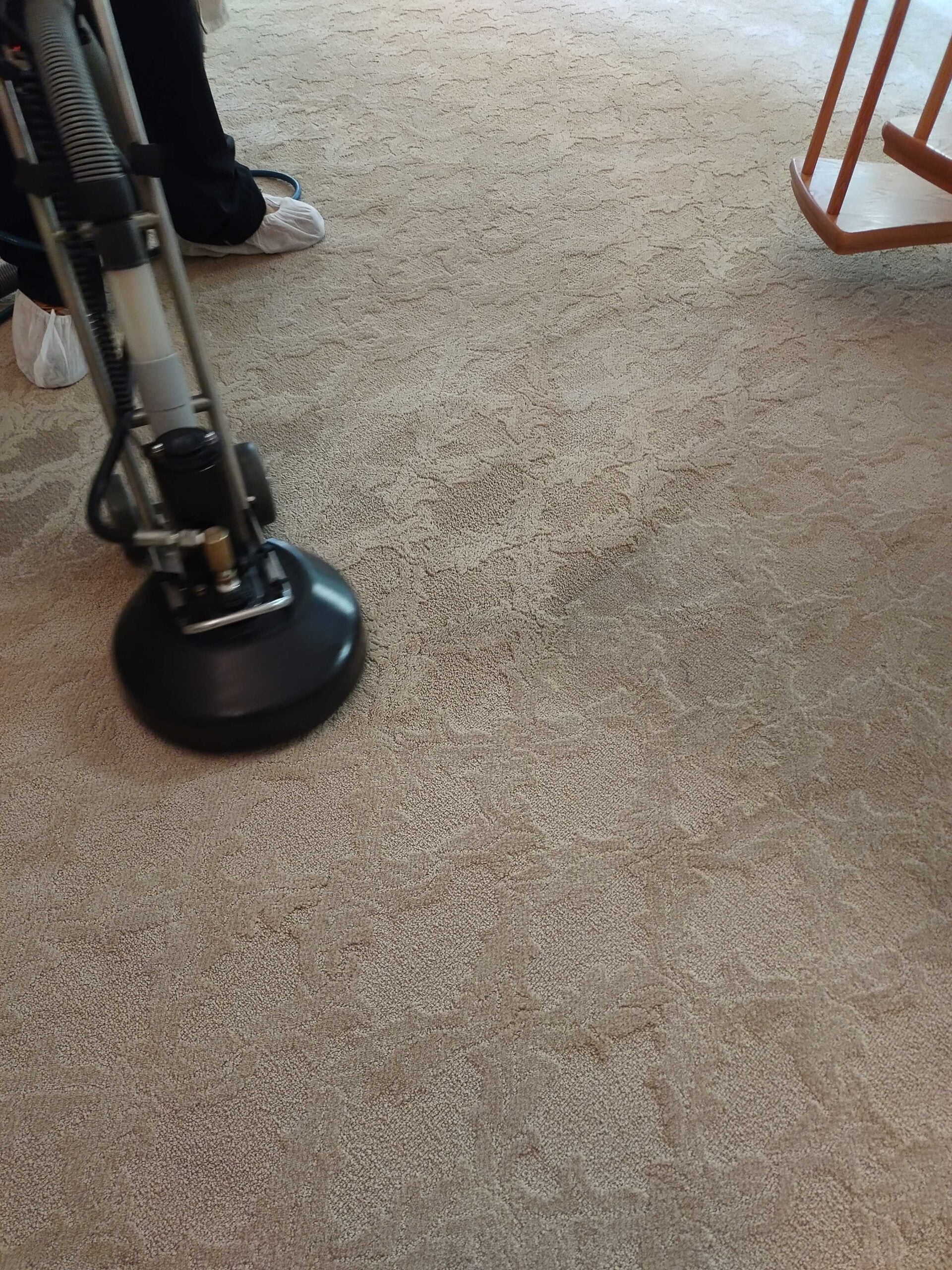 The Mean Green Carpet Clean serving Peabody MA