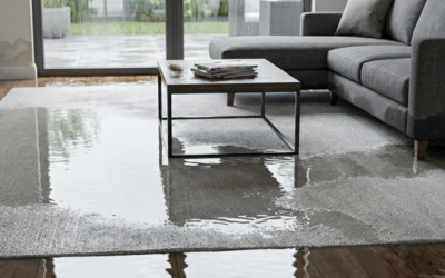 Essential Water Damage Restoration in Alexandria: Protecting Your Property